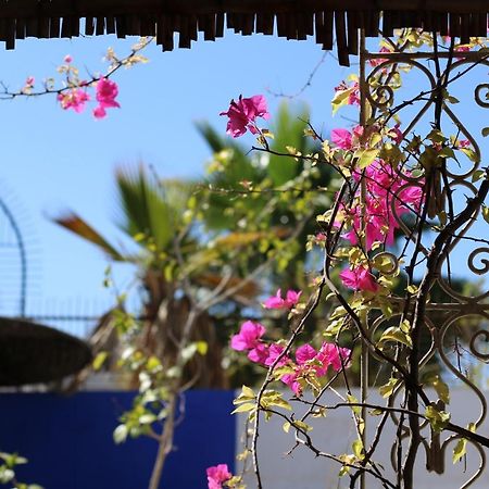 Riad 46 Marrakesh Ngoại thất bức ảnh